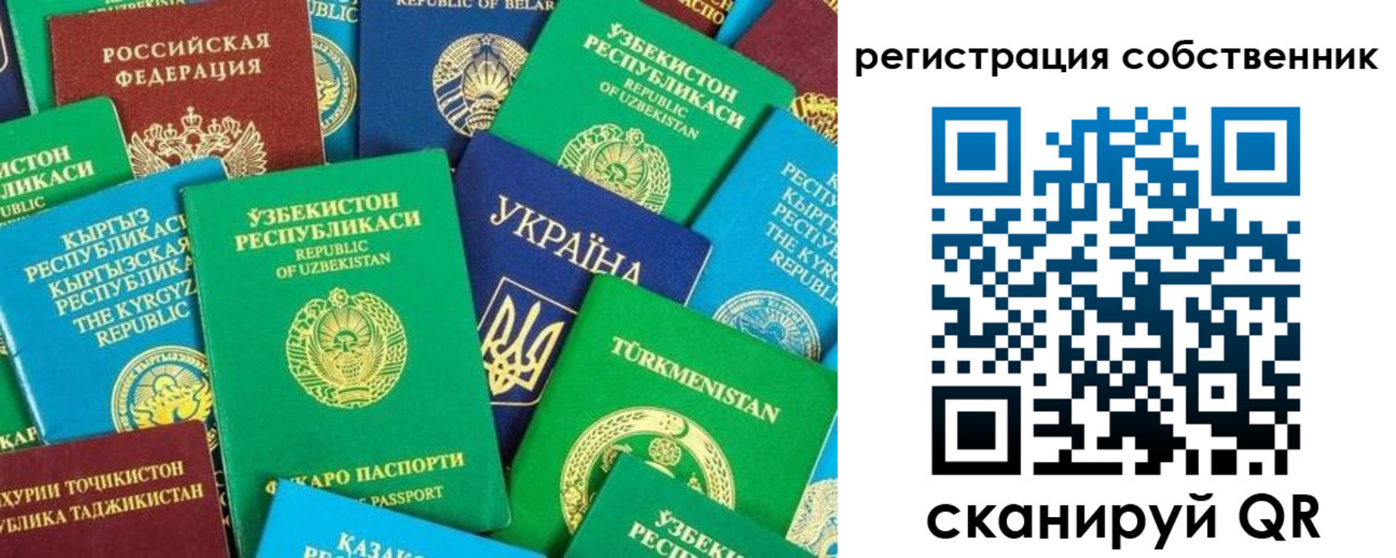 прописка в Венёве